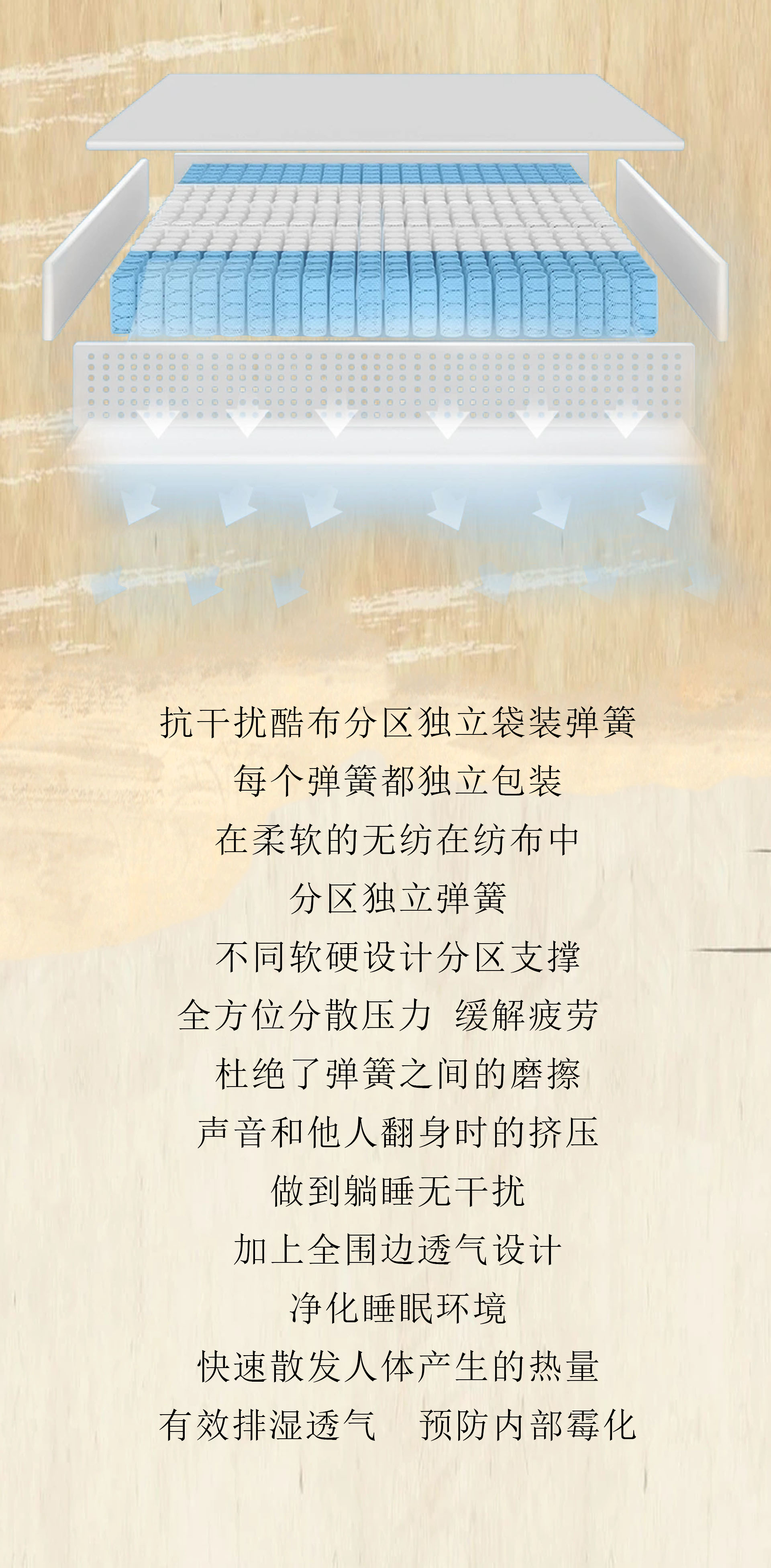 布兰卡-9.jpg